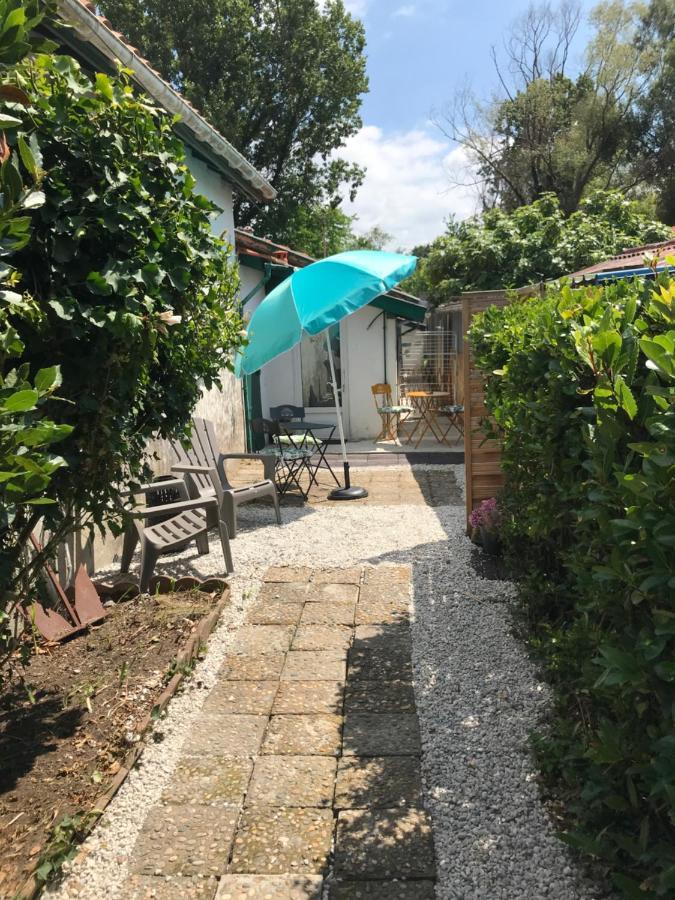 Appartement Entre Ocean Et Montagne 15Bis Avenue De Montbrun アングレット エクステリア 写真